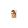 Maillot de bain - Souiten gorge Filipines gold